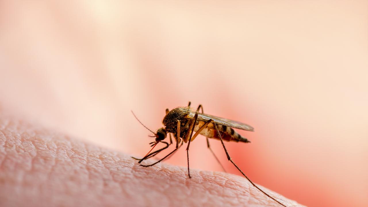 Saúde monitora dois casos de malária em Sergipe