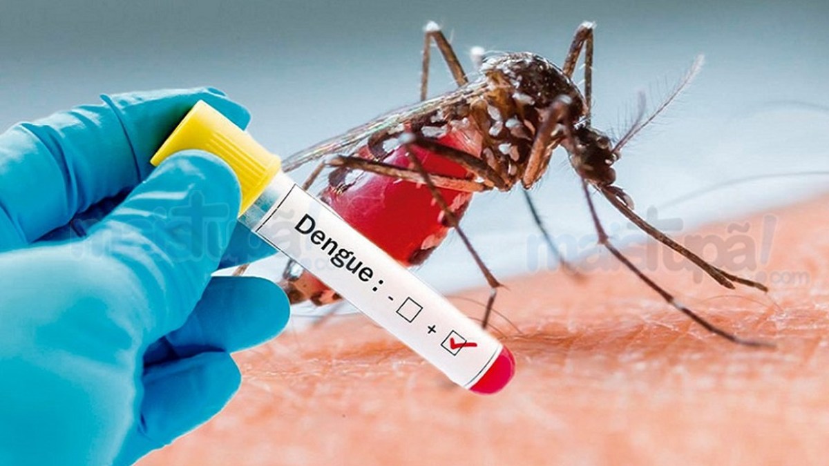 Sergipe registra mais de oito mil casos de Dengue e Chikungunya, diz SES